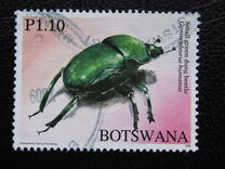 [Beetles of Botswana, Tip AHD]