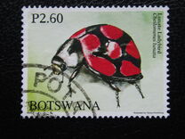 [Beetles of Botswana, Tip AHE]