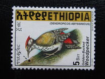 [Golden-mantled Woodpecker, tip AXO21]