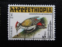 [Golden-mantled Woodpecker, tip AXO21]