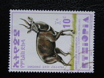 [Menelik´s Bushbuck, typ AZF1]