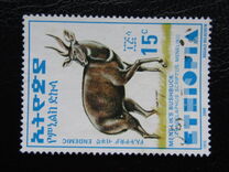 [Menelik´s Bushbuck, typ AZF2]