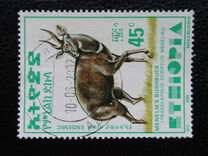 [Menelik´s Bushbuck, typ AZF8]