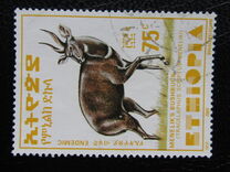 [Menelik´s Bushbuck, typ AZF14]