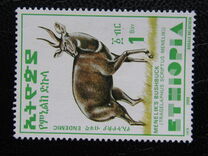 [Menelik´s Bushbuck, typ AZF18]