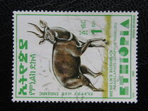 [Menelik´s Bushbuck, typ AZF18]
