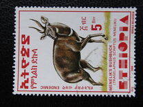[Menelik´s Bushbuck, typ AZF21]
