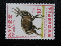 [Menelik´s Bushbuck, typ AZF22]