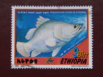 [Freshwater Fish, type BAH]