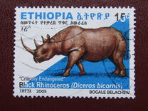 [Rinoceronte. Diceros bicornis., tipo BDR2]