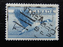 [Birds - Canada Goose, Typ GD]