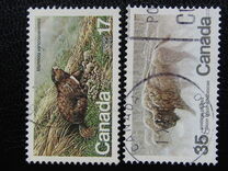 [Endangered Wildlife, type AAD]
