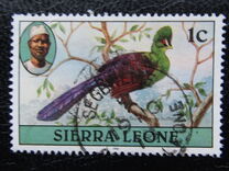 [Birds, प्रकार EZ]