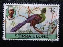 [Birds, प्रकार EZ]