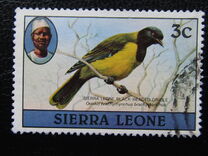 [Birds, प्रकार FB]