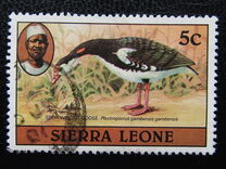 [Birds, प्रकार FC]