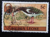 [Birds, प्रकार FC]