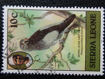 [Birds, प्रकार FE]