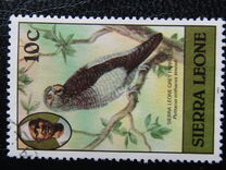 [Birds, प्रकार FE]