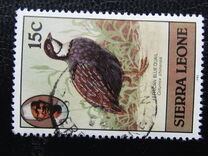 [Birds, प्रकार FF]