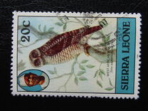 [Birds, प्रकार FG]