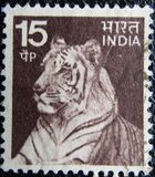 [Local Motifs, type PG]