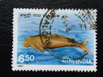 [Endangered Marine Mammals, տեսակ APV]