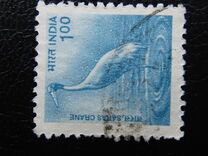 [Wildlife, type BIF]