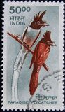 [Wildlife, type BJC]