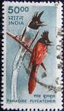 [Wildlife, type BJC]
