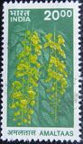 [Fauna y flora., tipo BJH]