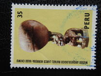 [Rafael Larco Herrera Archaeological Museum, Tipe ABK]