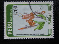 [Flora, տեսակ ADU]