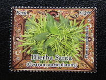 [Medicinal Plants, type BLR]