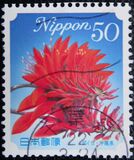 [Flowers, type HTI]