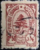 [Cedar of Lebanon, type XCC]