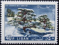 [Airmail - "Cedars of Friendship", Tipi ML]