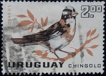 [Birds, type PH]