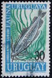[Airmail - Uruguayan Marine Fauna, Вид UJ]