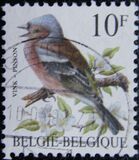 [Birds, نوع BNI]