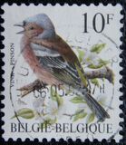 [Birds, نوع BNI]