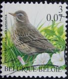 [Birds, タイプ CIJ]