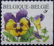 [Flower - Self-adhesive Stamp Without Value Specification, type CIY]