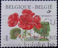 [Flower - Year "2000" Imprint, Tip CFV1]