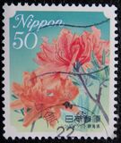 [Flowers, type HWD]