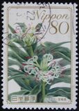 [Flowers, tip HWK]
