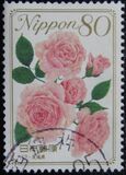 [Flowers, type IIB]