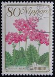 [Flowers, type IID]