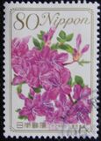 [Flowers, type IIF]