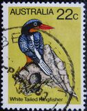 [Birds, tip TW]